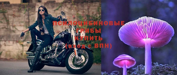 дмт Алексеевка