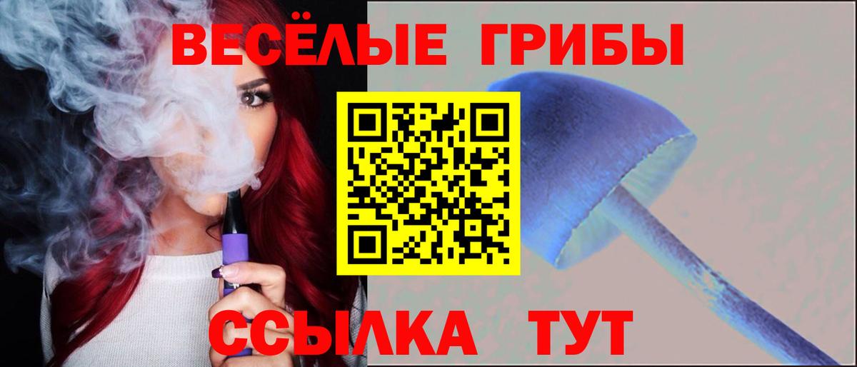 Самара  Галлюциногенные грибы Psilocybe  Вход с VPN 